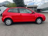 VW Polo IV bei Gebrauchtwagen.expert - Abbildung (3 / 15)