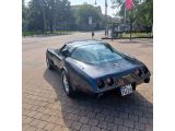 Corvette C3 bei Gebrauchtwagen.expert - Abbildung (9 / 13)