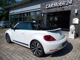 VW Beetle bei Gebrauchtwagen.expert - Abbildung (6 / 15)