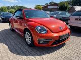 VW Beetle bei Gebrauchtwagen.expert - Abbildung (4 / 10)