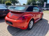 VW Beetle bei Gebrauchtwagen.expert - Abbildung (5 / 10)