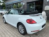 VW Beetle bei Gebrauchtwagen.expert - Abbildung (7 / 15)