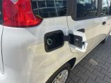 Fiat Panda bei Gebrauchtwagen.expert - Abbildung (12 / 15)
