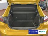 Peugeot 208 bei Gebrauchtwagen.expert - Abbildung (11 / 15)
