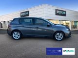 Peugeot 308 bei Gebrauchtwagen.expert - Abbildung (4 / 15)