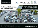 Skoda Octavia bei Gebrauchtwagen.expert - Abbildung (6 / 15)