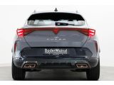 Cupra Formentor bei Gebrauchtwagen.expert - Abbildung (9 / 15)