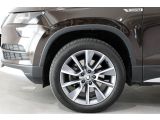 Skoda Karoq bei Gebrauchtwagen.expert - Abbildung (14 / 15)