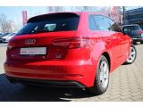 Audi A3 Sportback bei Gebrauchtwagen.expert - Abbildung (8 / 15)