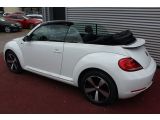 VW Beetle bei Gebrauchtwagen.expert - Abbildung (10 / 15)