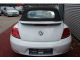 VW Beetle bei Gebrauchtwagen.expert - Abbildung (4 / 15)