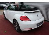 VW Beetle bei Gebrauchtwagen.expert - Abbildung (14 / 15)