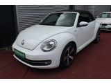 VW Beetle bei Gebrauchtwagen.expert - Abbildung (9 / 15) VW Beetle bei Gebrauchtwagen.expert - Abbildung (9 / 15)