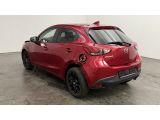 Mazda 2 bei Gebrauchtwagen.expert - Abbildung (3 / 10)
