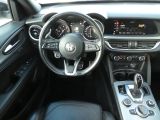Alfa Romeo Stelvio bei Gebrauchtwagen.expert - Abbildung (13 / 15)