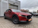 Mazda CX-30 bei Gebrauchtwagen.expert - Abbildung (3 / 15)