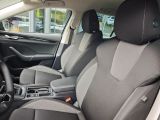 Skoda Octavia bei Gebrauchtwagen.expert - Abbildung (12 / 15) Skoda Octavia bei Gebrauchtwagen.expert - Abbildung (12 / 15)