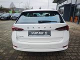 Skoda Octavia bei Gebrauchtwagen.expert - Abbildung (6 / 15)