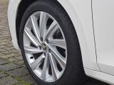 Skoda Octavia bei Gebrauchtwagen.expert - Abbildung (13 / 15)