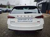 Skoda Octavia bei Gebrauchtwagen.expert - Abbildung (6 / 15)