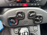 Fiat Panda bei Gebrauchtwagen.expert - Abbildung (13 / 15) Fiat Panda bei Gebrauchtwagen.expert - Abbildung (13 / 15)
