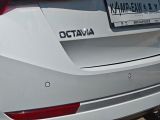 Skoda Octavia bei Gebrauchtwagen.expert - Abbildung (11 / 15) Skoda Octavia bei Gebrauchtwagen.expert - Abbildung (11 / 15)