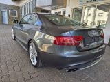 Audi S5 bei Gebrauchtwagen.expert - Abbildung (6 / 15)