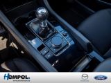 Mazda 3 bei Gebrauchtwagen.expert - Abbildung (11 / 15)