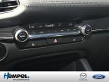 Mazda 3 bei Gebrauchtwagen.expert - Abbildung (10 / 15)