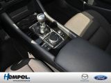 Mazda 3 bei Gebrauchtwagen.expert - Abbildung (11 / 15)