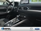 Mazda CX 5 bei Gebrauchtwagen.expert - Abbildung (6 / 15)