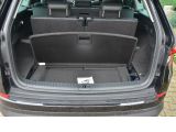 Skoda Kodiaq bei Gebrauchtwagen.expert - Abbildung (14 / 15)