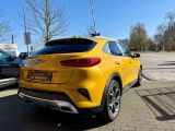 Kia XCeed bei Gebrauchtwagen.expert - Abbildung (13 / 15)