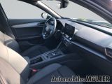Cupra Formentor bei Gebrauchtwagen.expert - Abbildung (9 / 15)