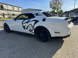 Dodge Challenger bei Gebrauchtwagen.expert - Abbildung (9 / 15)