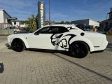 Dodge Challenger bei Gebrauchtwagen.expert - Abbildung (13 / 15)