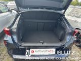 Cupra Formentor bei Gebrauchtwagen.expert - Abbildung (14 / 15)