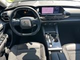 Citroen Feel bei Gebrauchtwagen.expert - Abbildung (13 / 15)