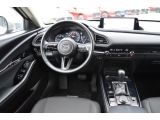 Mazda CX-30 bei Gebrauchtwagen.expert - Abbildung (11 / 15)