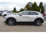 Mazda CX-30 bei Gebrauchtwagen.expert - Abbildung (5 / 15)