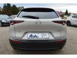 Mazda CX-30 bei Gebrauchtwagen.expert - Abbildung (8 / 15)