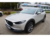 Mazda CX-30 bei Gebrauchtwagen.expert - Abbildung (2 / 15)