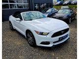 Ford Mustang bei Gebrauchtwagen.expert - Abbildung (13 / 15) Ford Mustang bei Gebrauchtwagen.expert - Abbildung (13 / 15)