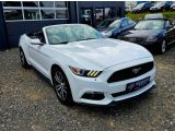 Ford Mustang bei Gebrauchtwagen.expert - Abbildung (4 / 15) Ford Mustang bei Gebrauchtwagen.expert - Abbildung (4 / 15)