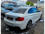 BMW M240 bei Gebrauchtwagen.expert - Abbildung (5 / 14)