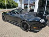 Ford Mustang bei Gebrauchtwagen.expert - Abbildung (13 / 15)