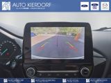 Ford Puma bei Gebrauchtwagen.expert - Abbildung (12 / 12)