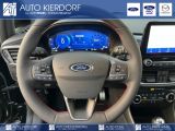 Ford Fiesta bei Gebrauchtwagen.expert - Abbildung (13 / 15)
