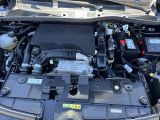 Citroen C4 bei Gebrauchtwagen.expert - Abbildung (5 / 12)