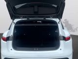 Renault Megane bei Gebrauchtwagen.expert - Abbildung (6 / 12)